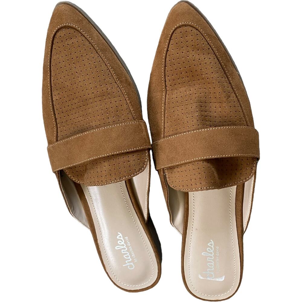 EUC Charles by Charles David Elijah flat mule slide Size 9